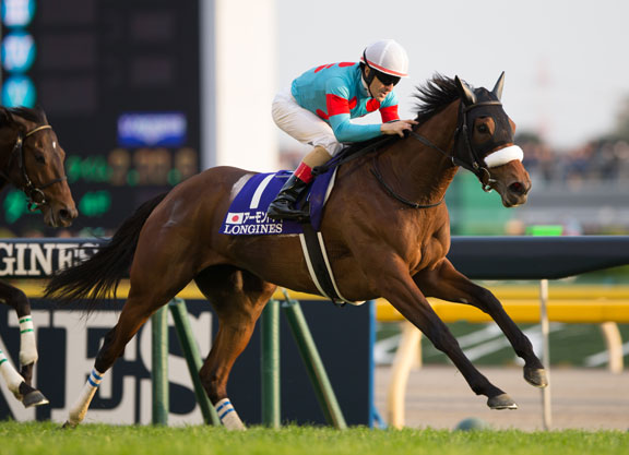 NeoGreyrat's tweet image. 7 años desde el récord de Almond Eye. Este año la superó Calandagan así que ahora vuelven a contar de 0