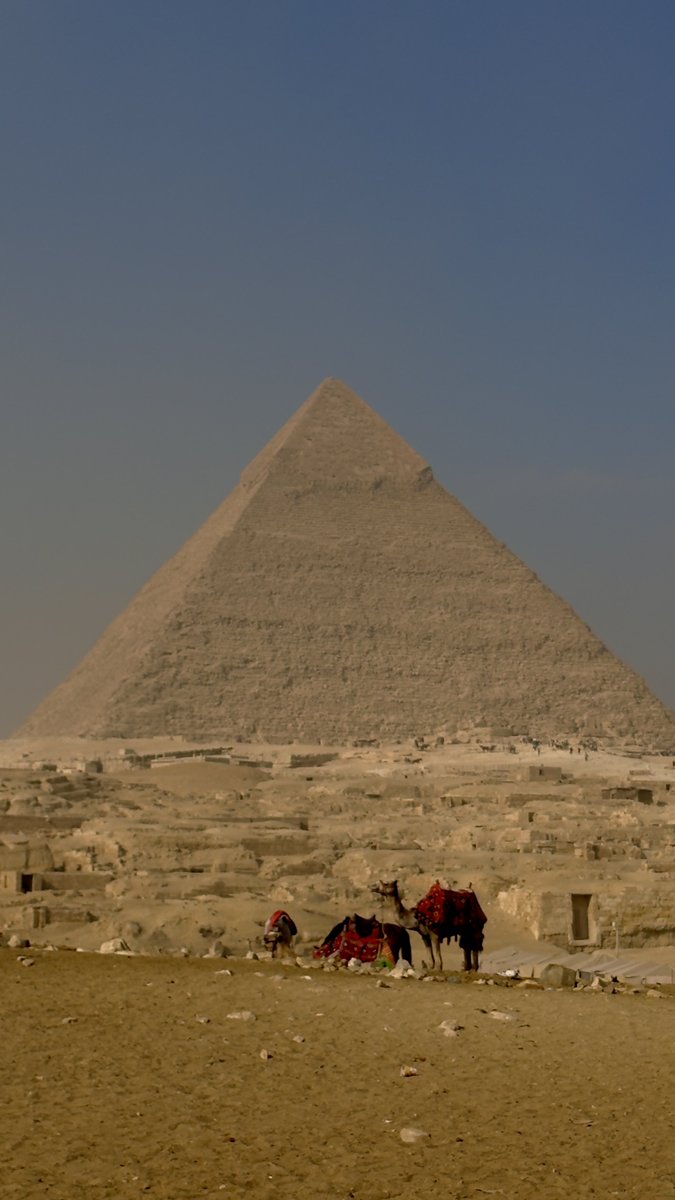 epintadorm's tweet image. The Pyramids of Giza,
Cairo Egypt 🇪🇬. #pyramids #Giza #cairo #egypt #mypics