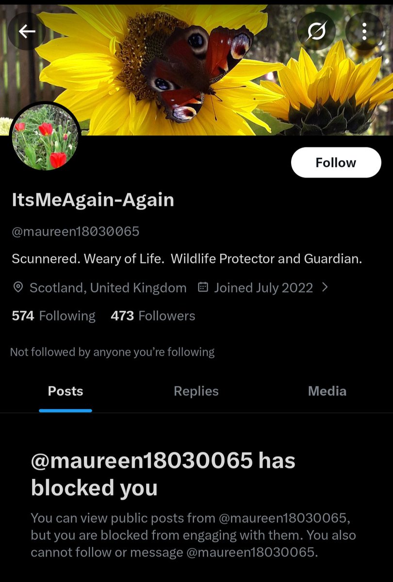 Tom Binns tweet media