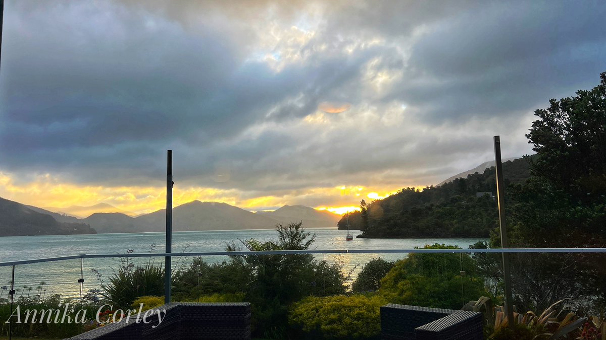 annikakes's tweet photo. Donโt forget last nightโs suffering in the #NZHellhole https://t.co/CNE9nCv4ID