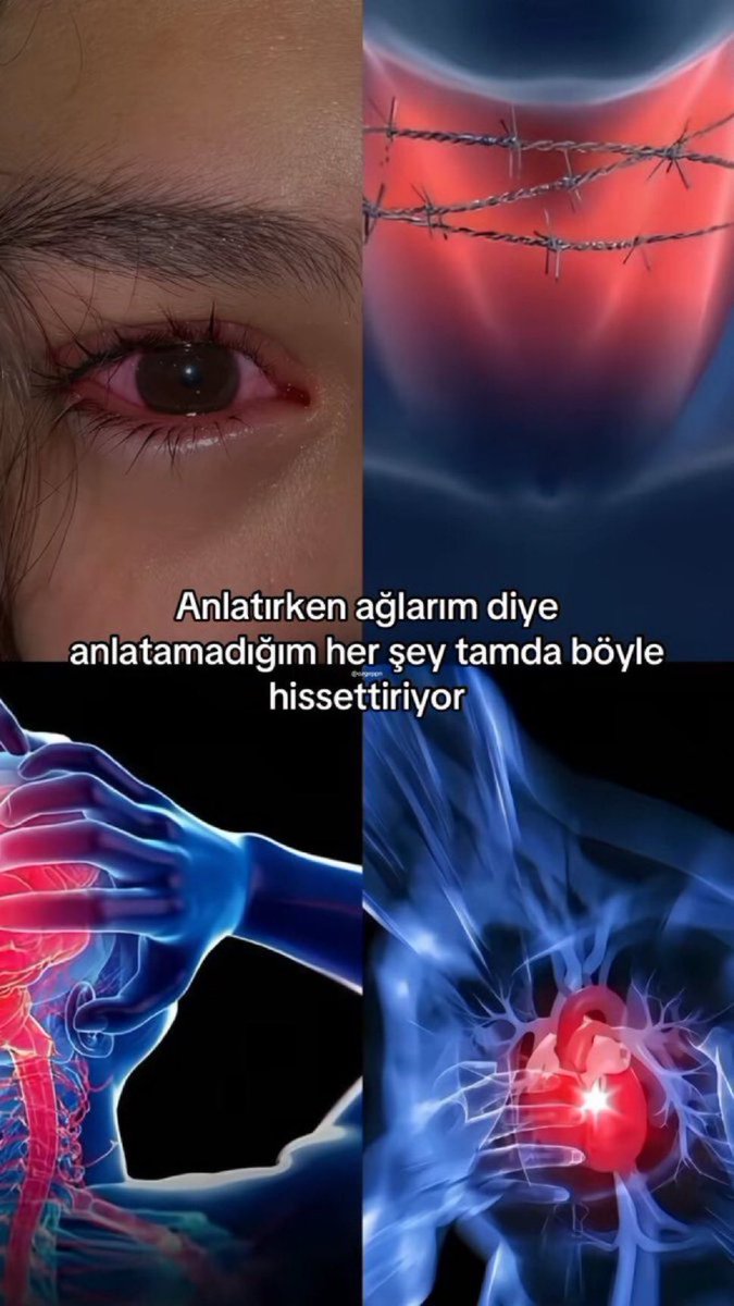 Papatya' (@papattyalim) on Twitter photo 