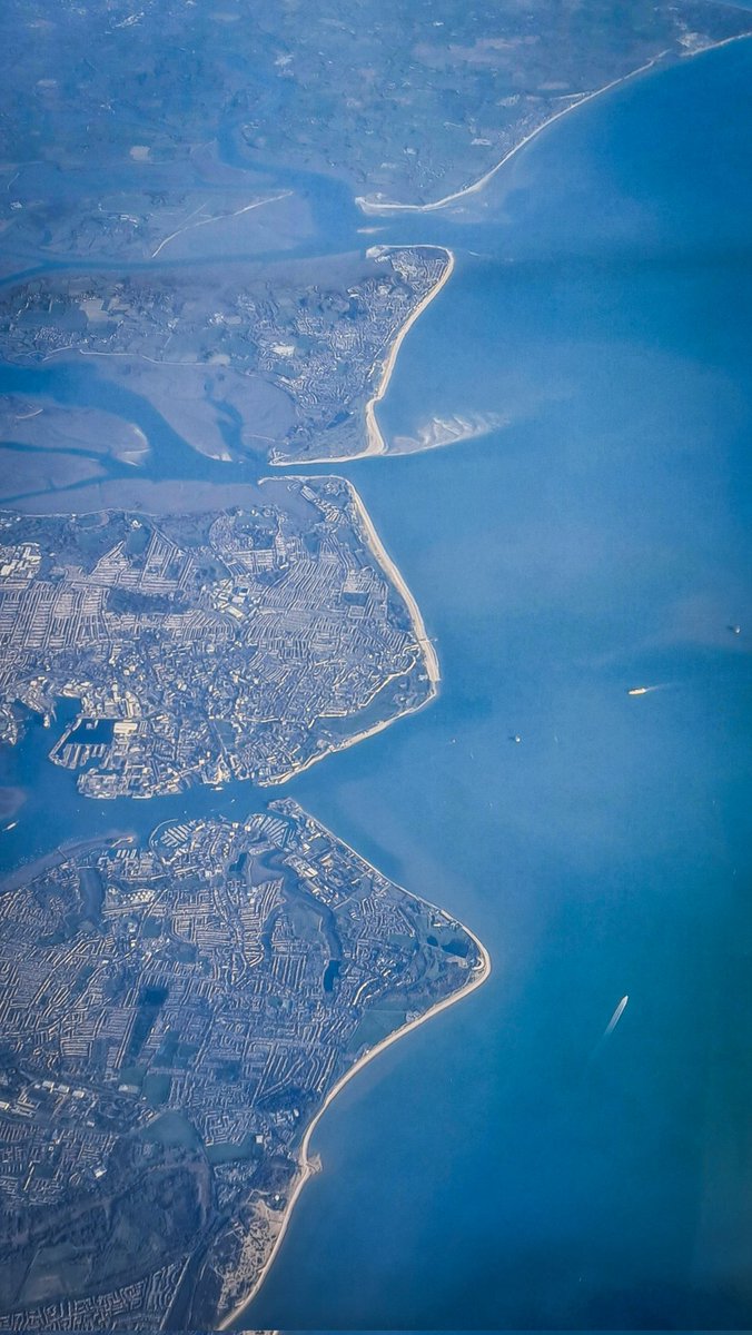 DerekAGrist tweet media