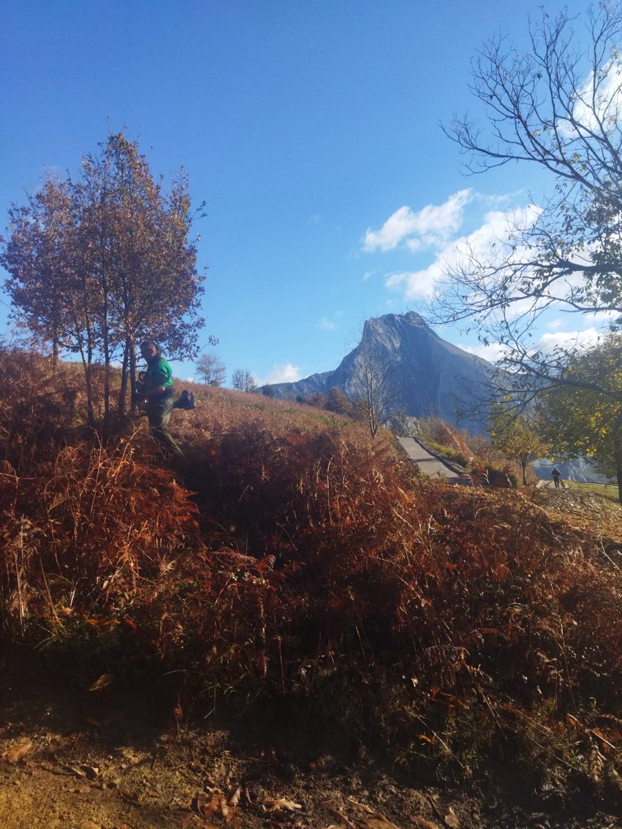 Steps for LIFE tweet media