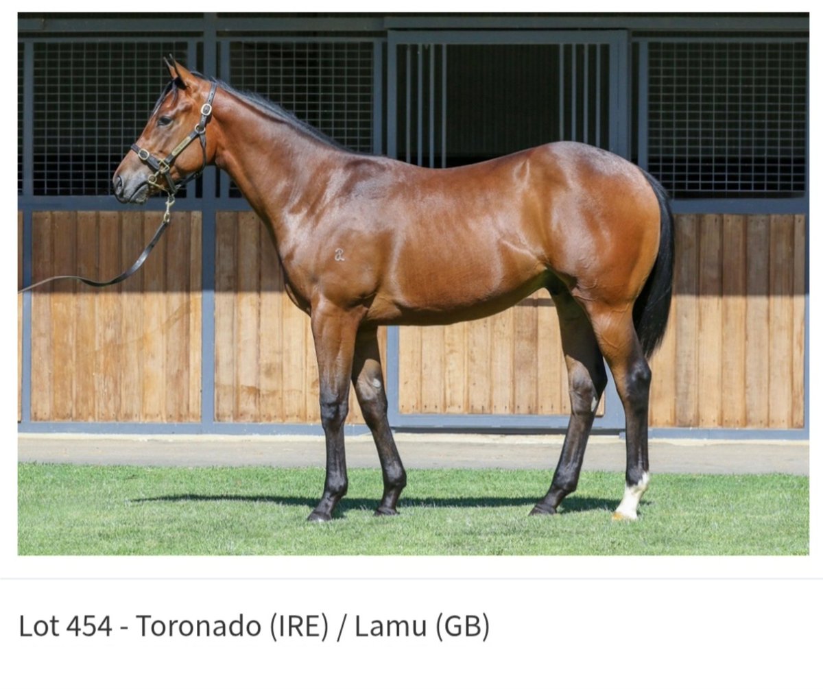 Wildenstein Breeding - FanPage tweet media