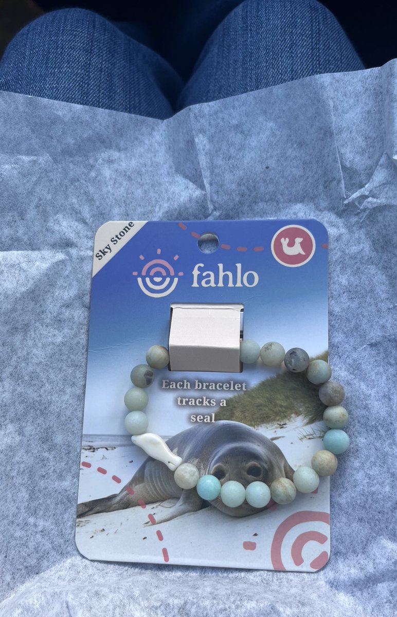 vanillarollcak3's tweet image. GUYS I GOT A LATE CHRISTMAS GIFT!!!! MEET CALLIE!!!