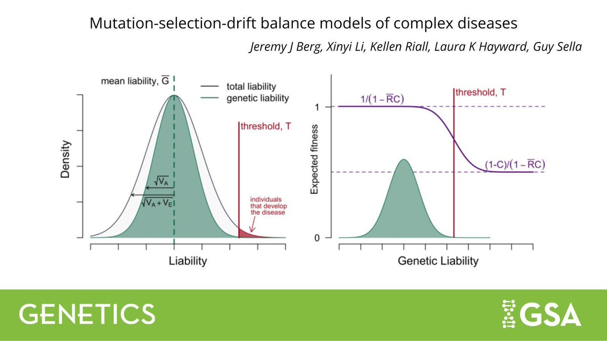Genetics Society of America tweet media