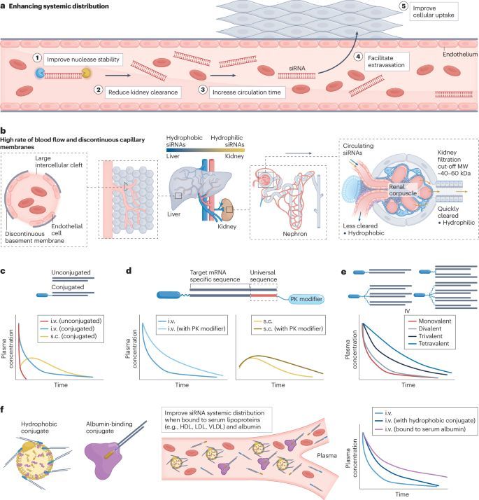 Stephen Turner 🦋 @stephenturner.us tweet media
