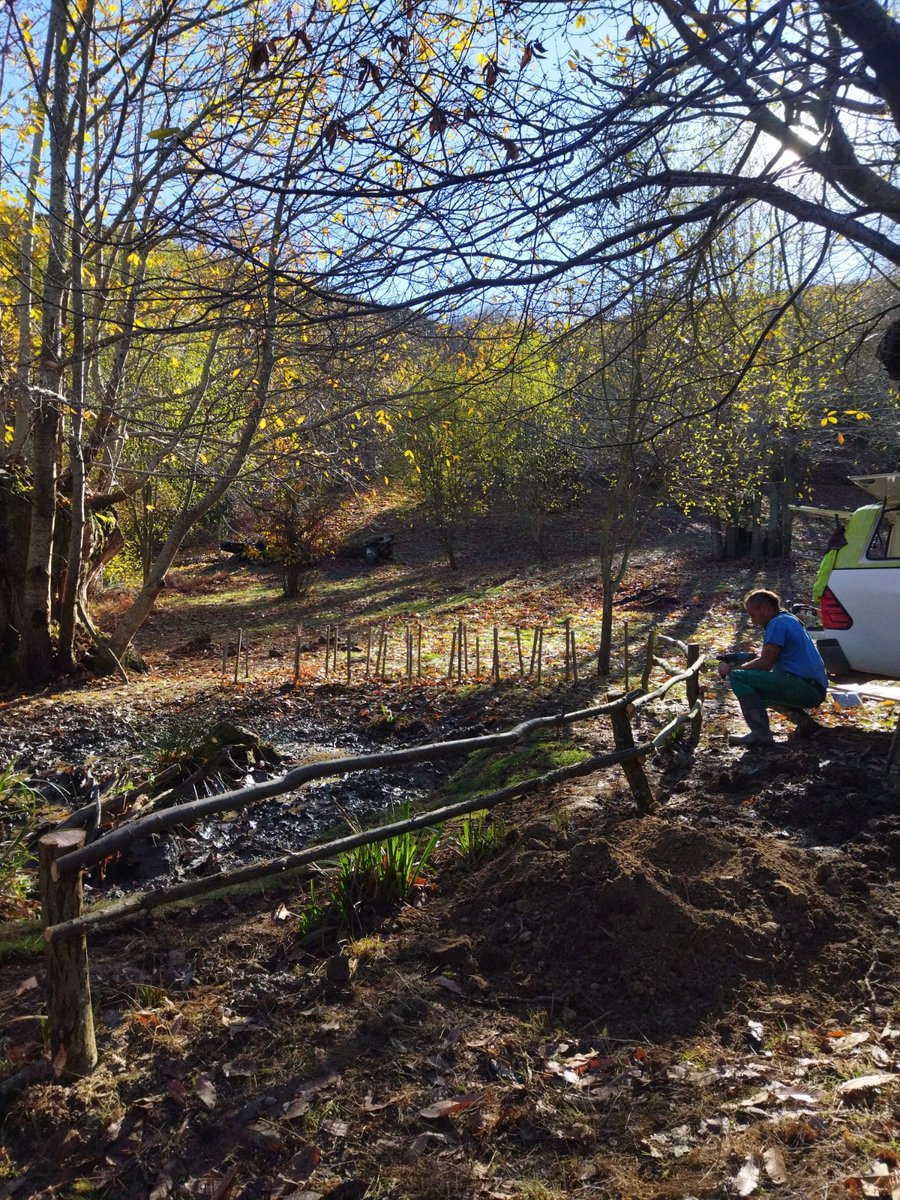 Steps for LIFE tweet media