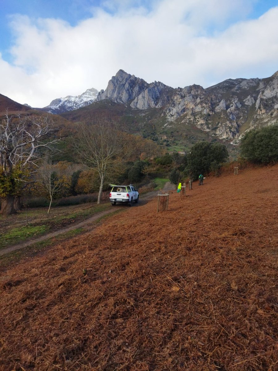 Steps for LIFE tweet media