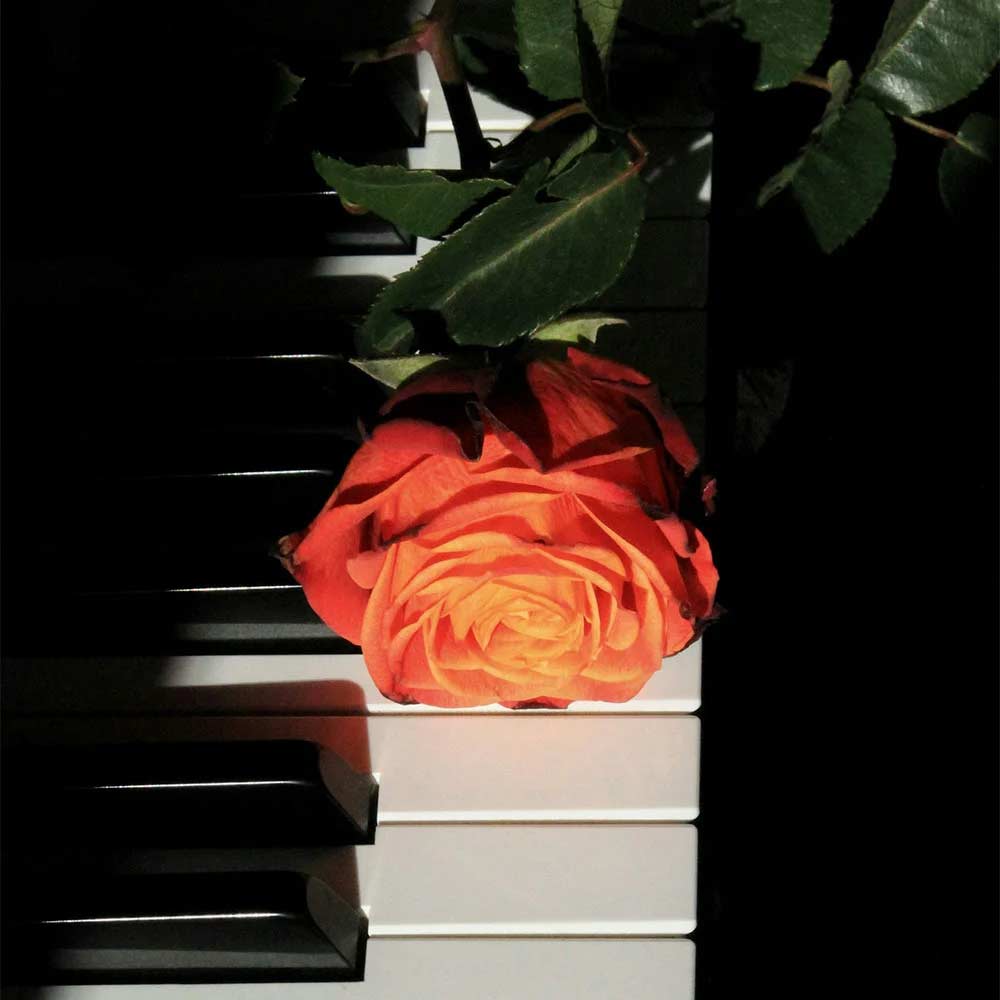 bestpiano's tweet image. A romantic love letter, written one note at a time...❤️
virtualpiano.net/music-sheet/lo…

#romanticmusic #virtualpiano #beginnerfriendly #pianolove