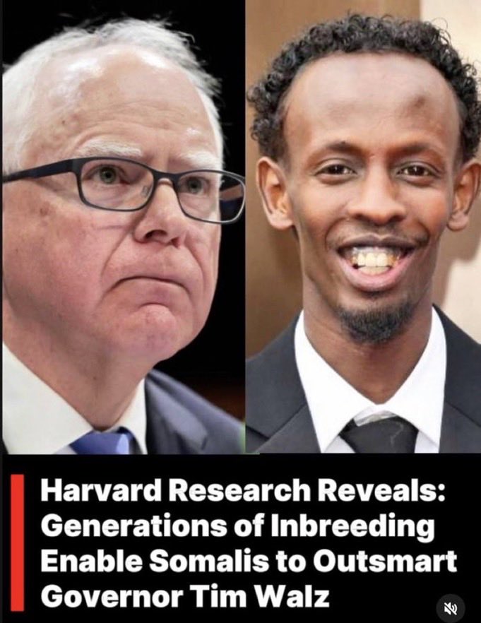 Darin tweet media