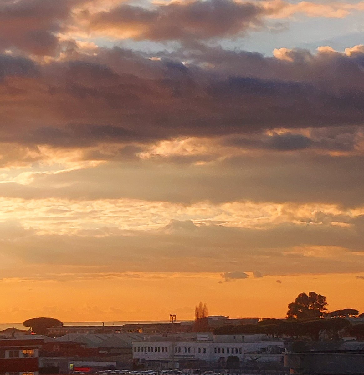 Maria Lea tweet media