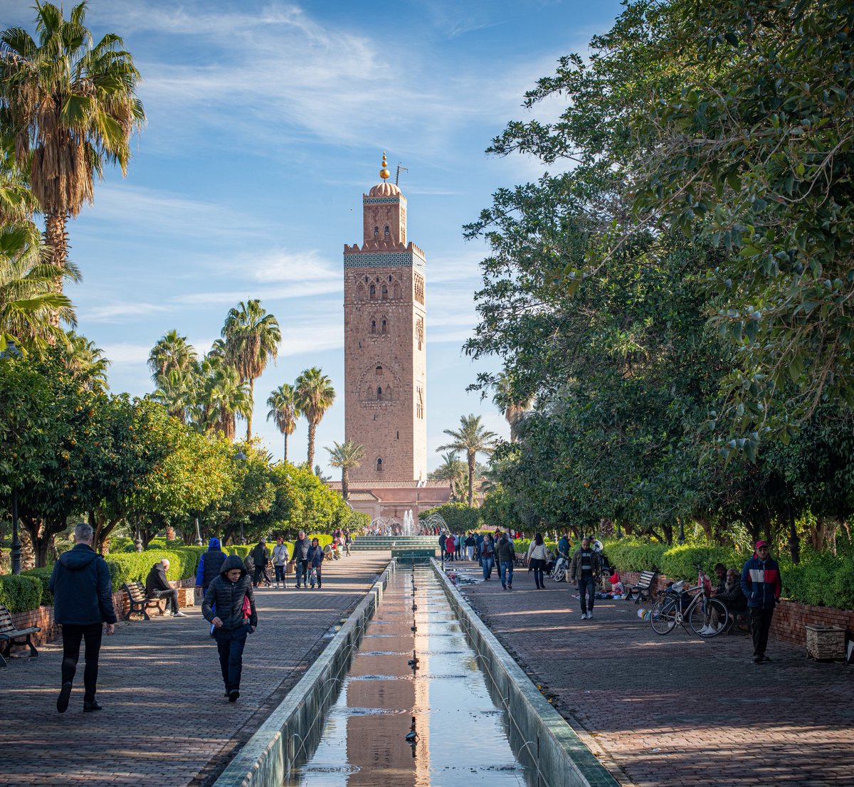 Del Sneddon tweet media