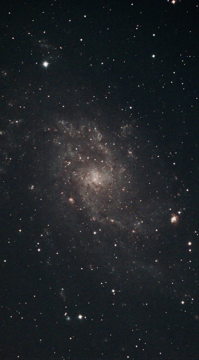 たいやき🐟 tweet media