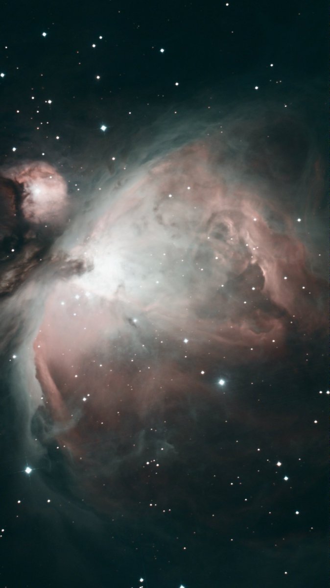 たいやき🐟 tweet media