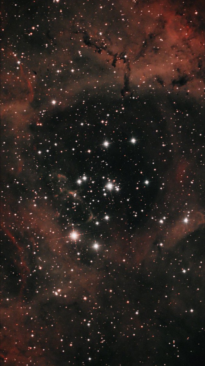 たいやき🐟 tweet media