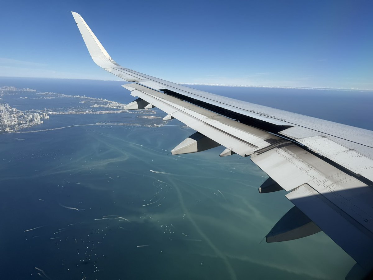 Texas Tech Cheer tweet media