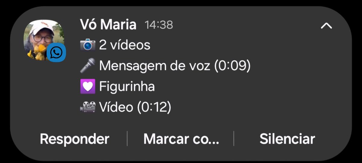 Minha vó no dia mais fraco mandando mensagem