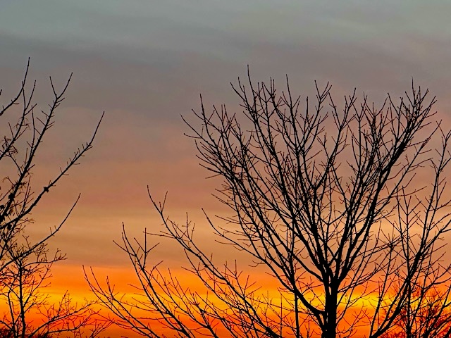 The heavens declare the glory of God, and the sky above proclaims his handiwork. Psalm 19:1