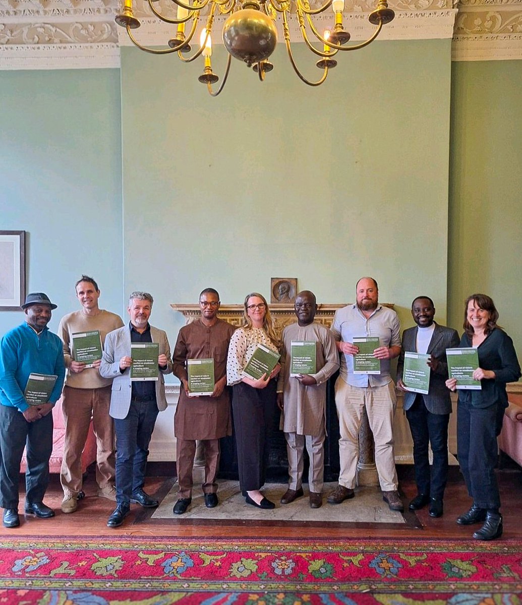 Albert Kure tweet media