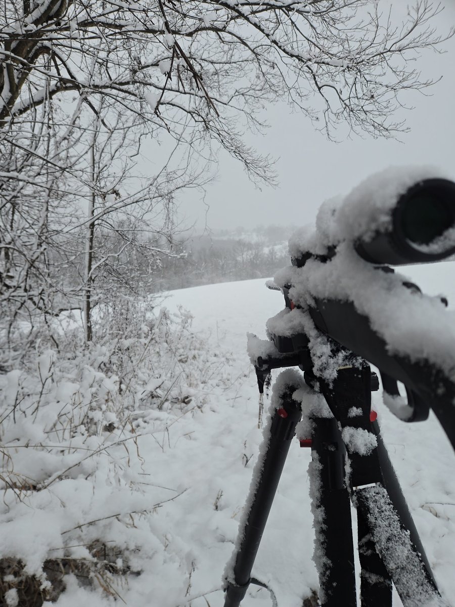 TampaBay_4_Life tweet media