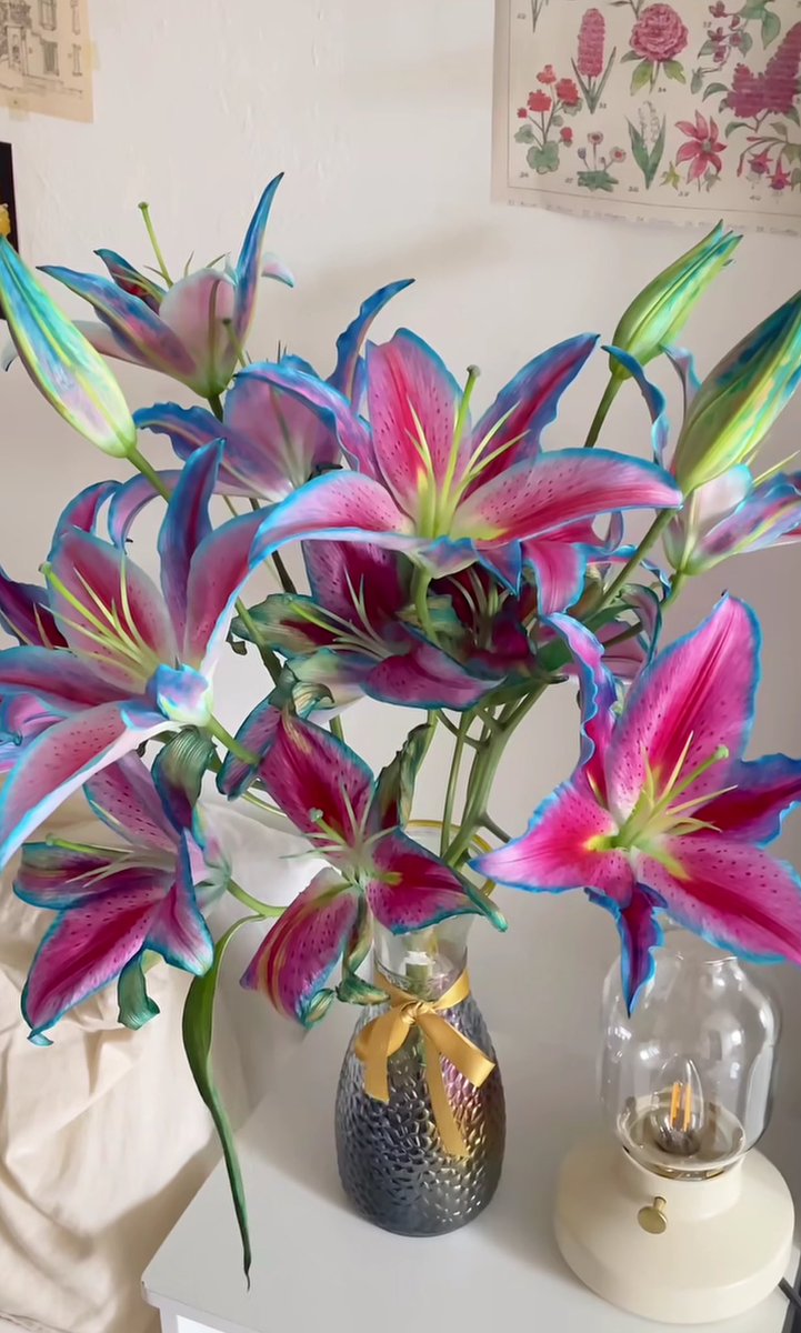 1leio's tweet image. 1 day                                     7 day