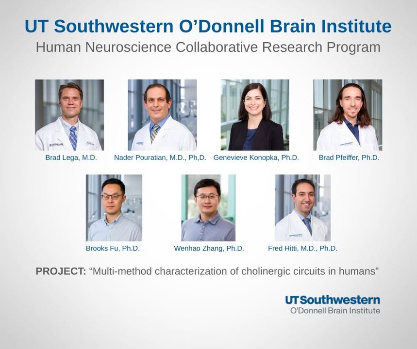 UTSWBrain's tweet image. Congrats to this team that was awarded an OBI Human Neuroscience Collaborative Research grant. The team aims to unravel how #cholinergic systems influence theta #oscillations that are crucial for #memory formation, attention, and coordination between different #brain regions.