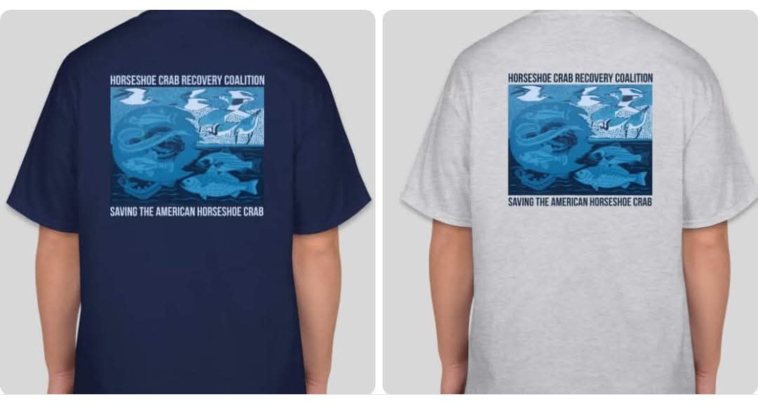 Horseshoe Crab Recovery Coalition tweet media