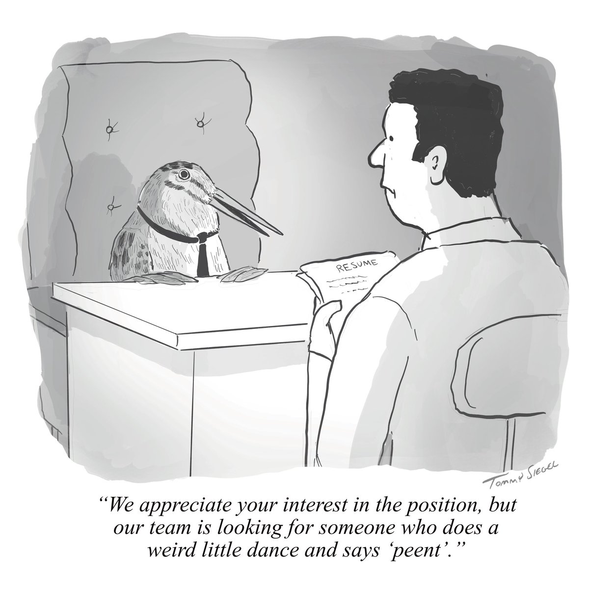 in hindsight, this one was a little too birder-specific to make it into the New Yorker