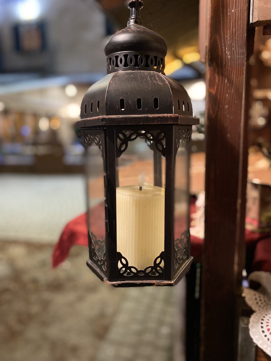 Sonia Zuccaro tweet media