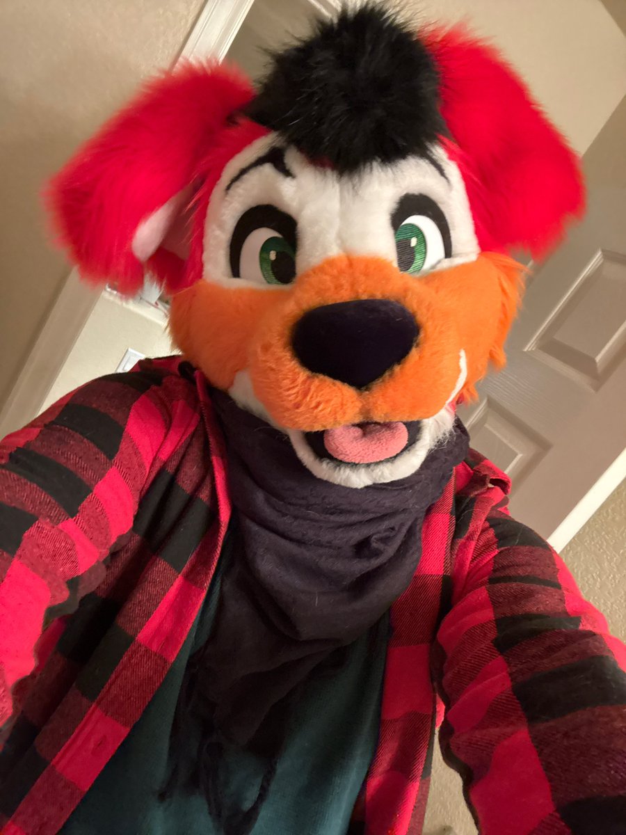 Hi! How have your holidays been?