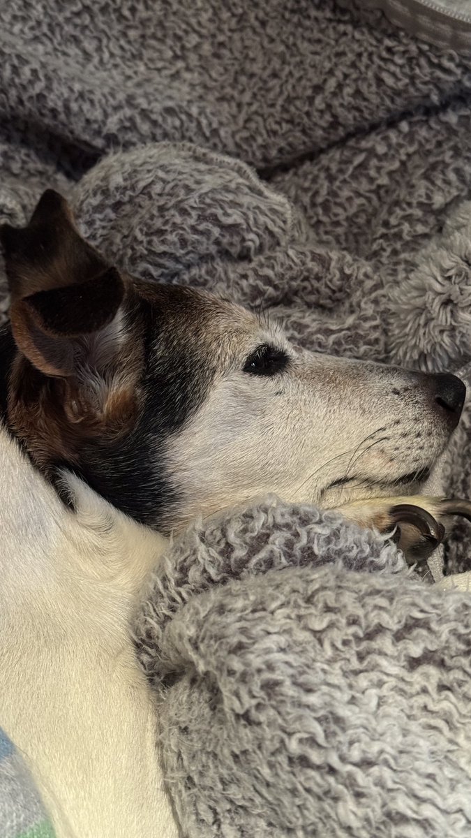 Nerina Pallot tweet media