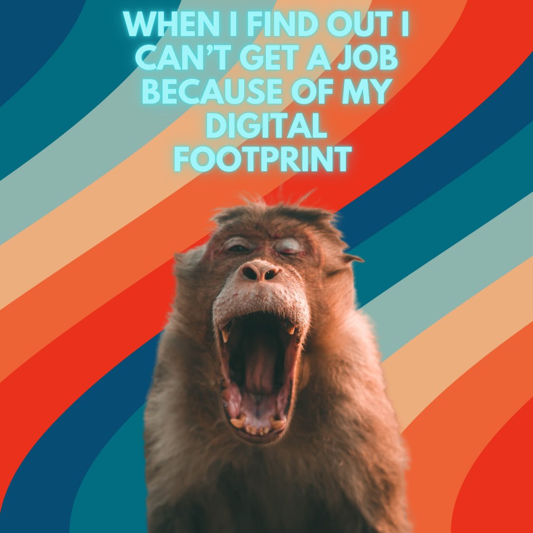 LUFSD_Libraries's tweet image. 7th graders are becoming savvy digital citizens! They learned about their Digital Footprints and put their new knowledge to work creating awesome memes on Canva.  @LindenhurstUFSD  #LUFSD