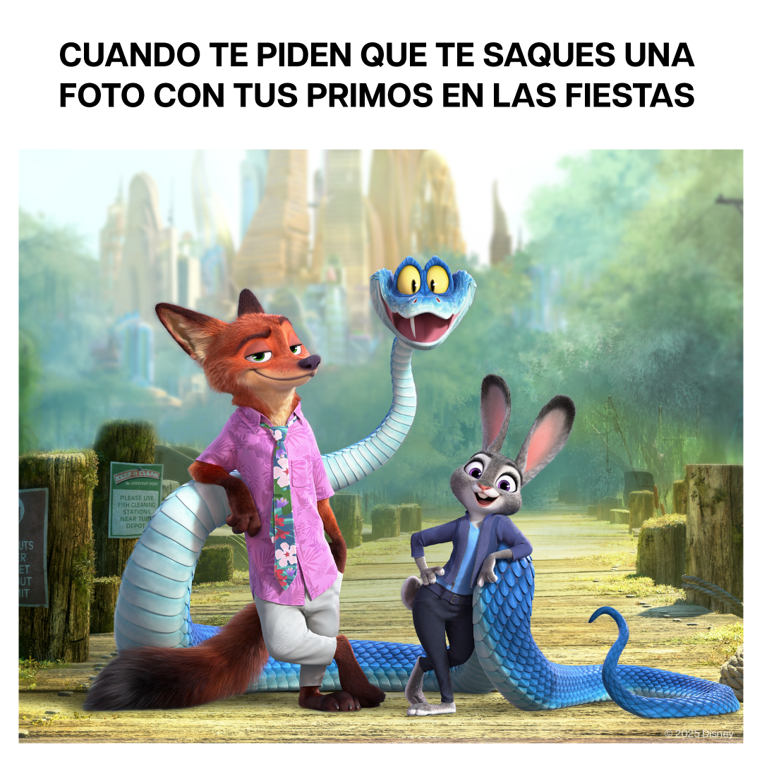 ¿Quién no se sacó una foto así como los protagonistas de #Zootopia2?
¡Feliz año nuevo! ❤️💫