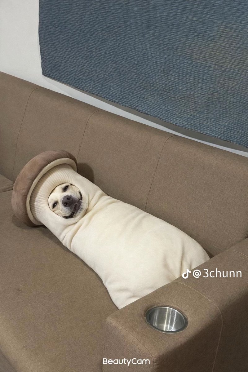 jsmtjyygyjbbjb's tweet image. เจอในตต.รูปแรกพอทน รูปสองพอเลย 55555555555555555555555555555555555555555555555555555555555555555555555