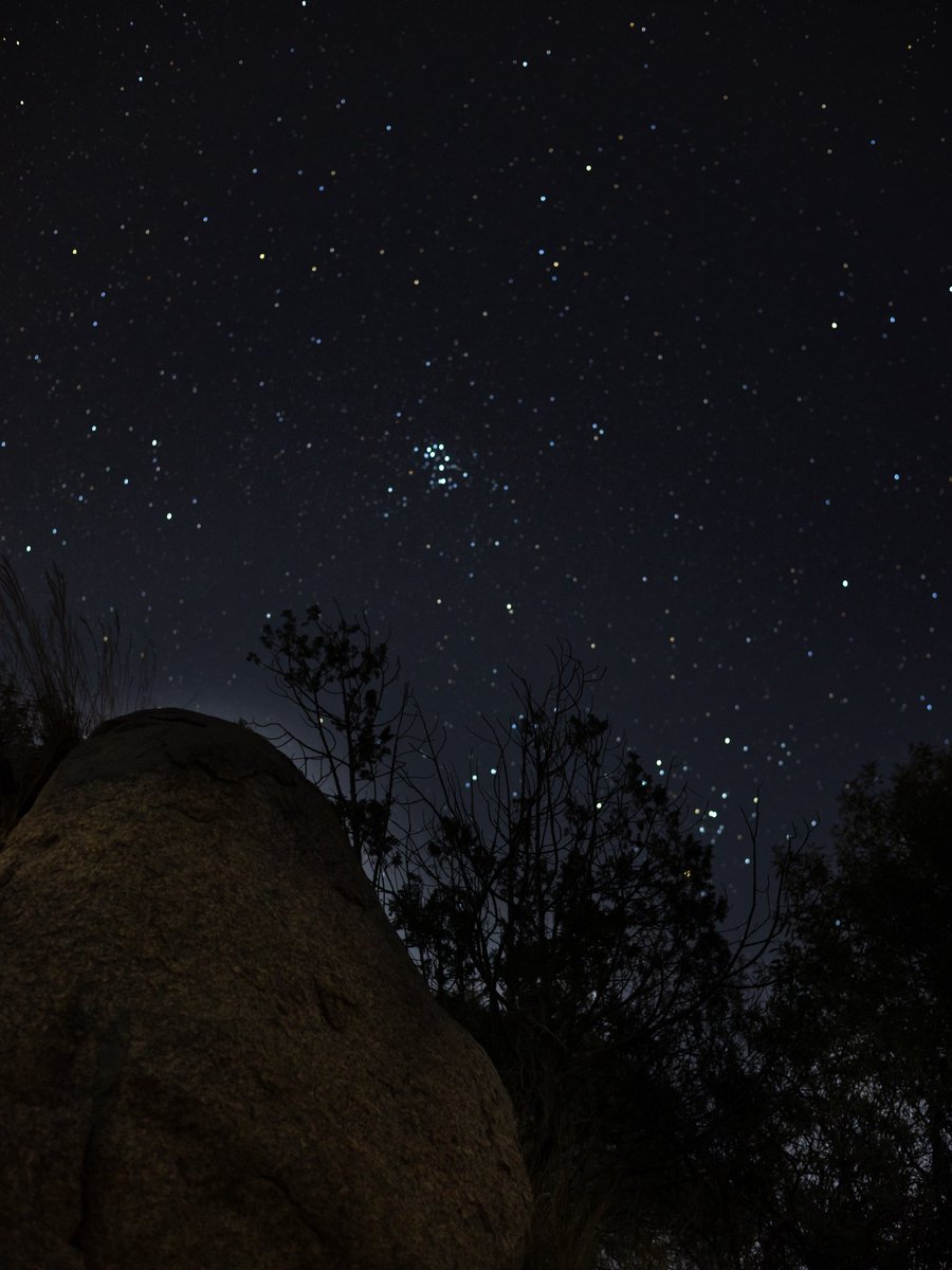 jusstmohammed's tweet image. December stars