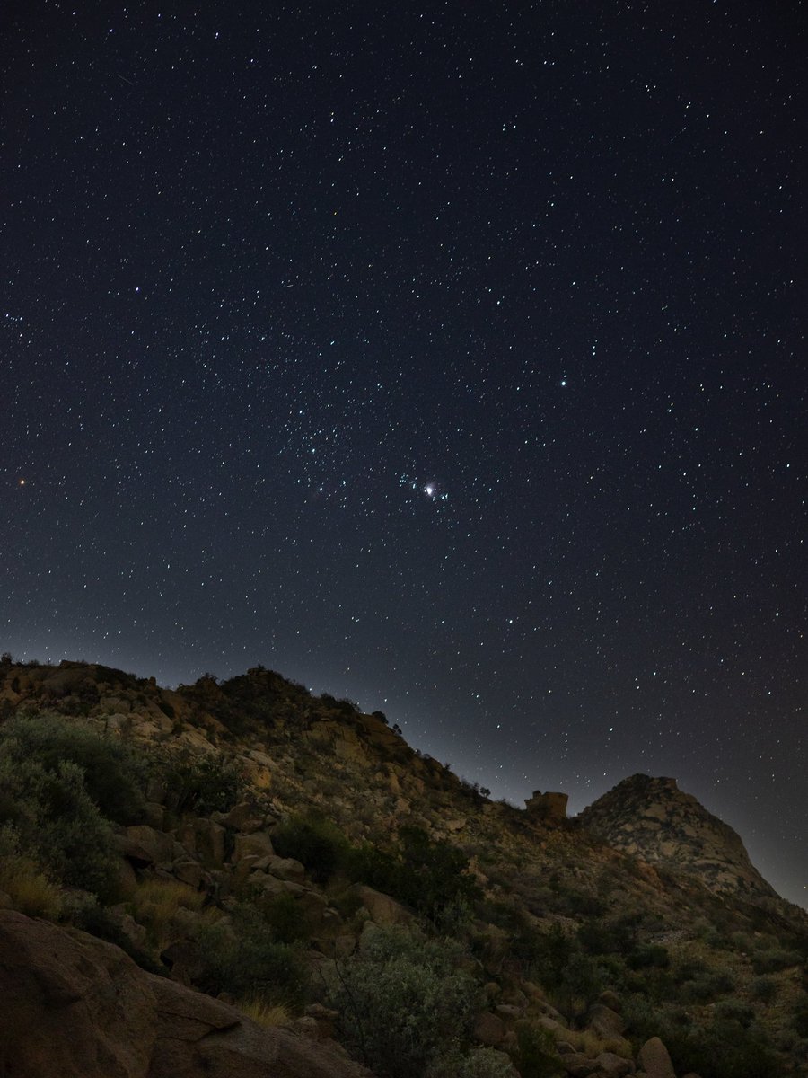 jusstmohammed's tweet image. December stars