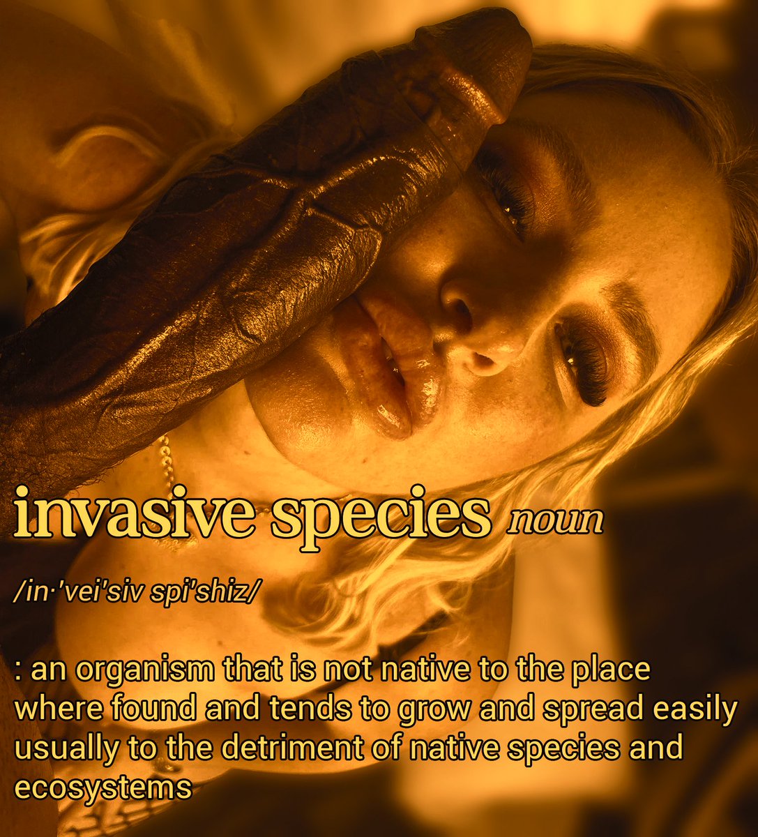 ᴀɴɢᴇʟᴀ ᴢɪᴇɢʟᴇʀ tweet media