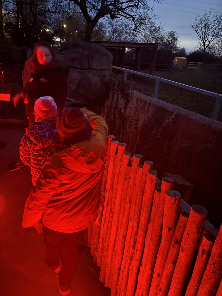 Lee Harman tweet media