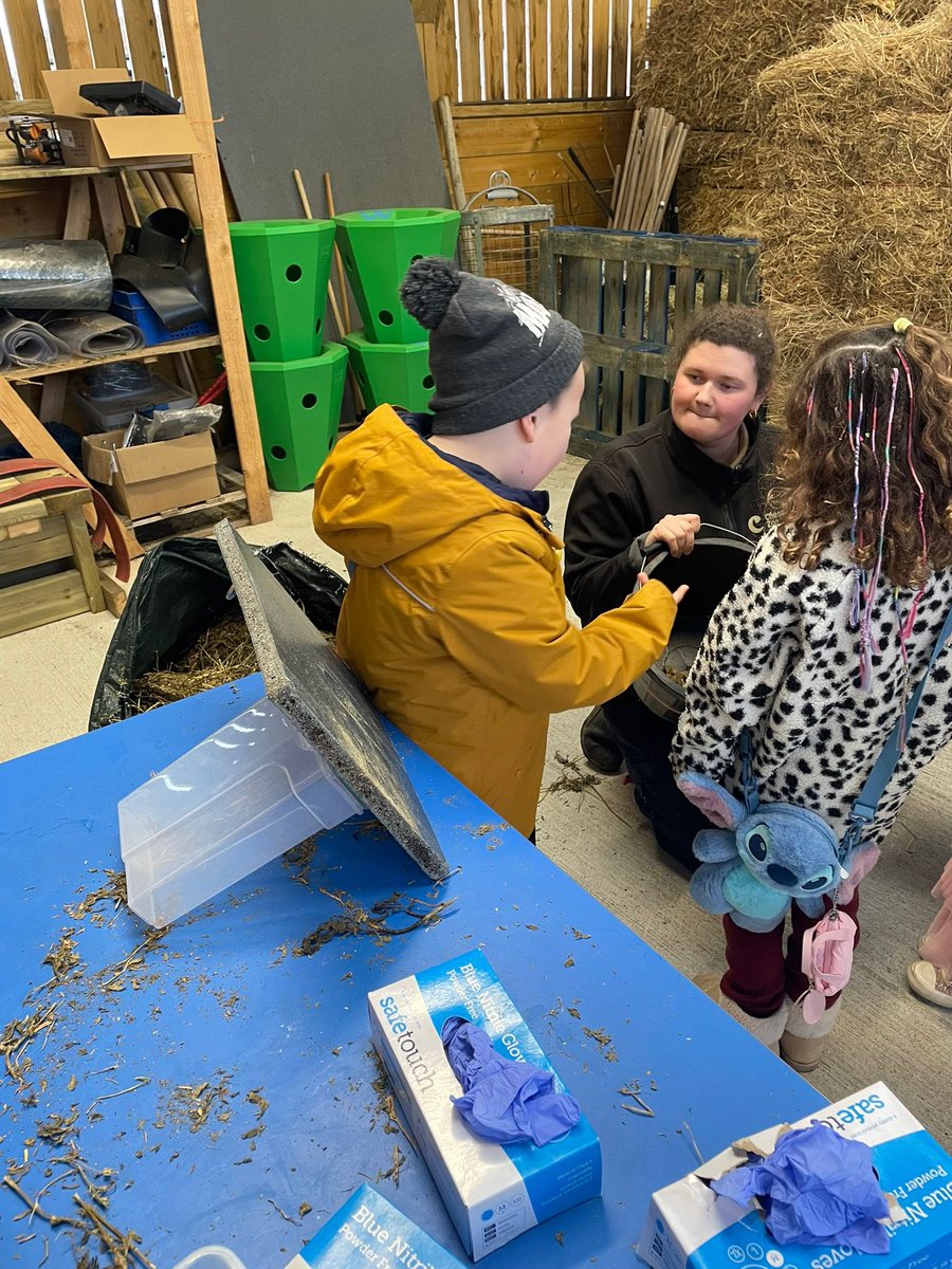 Lee Harman tweet media