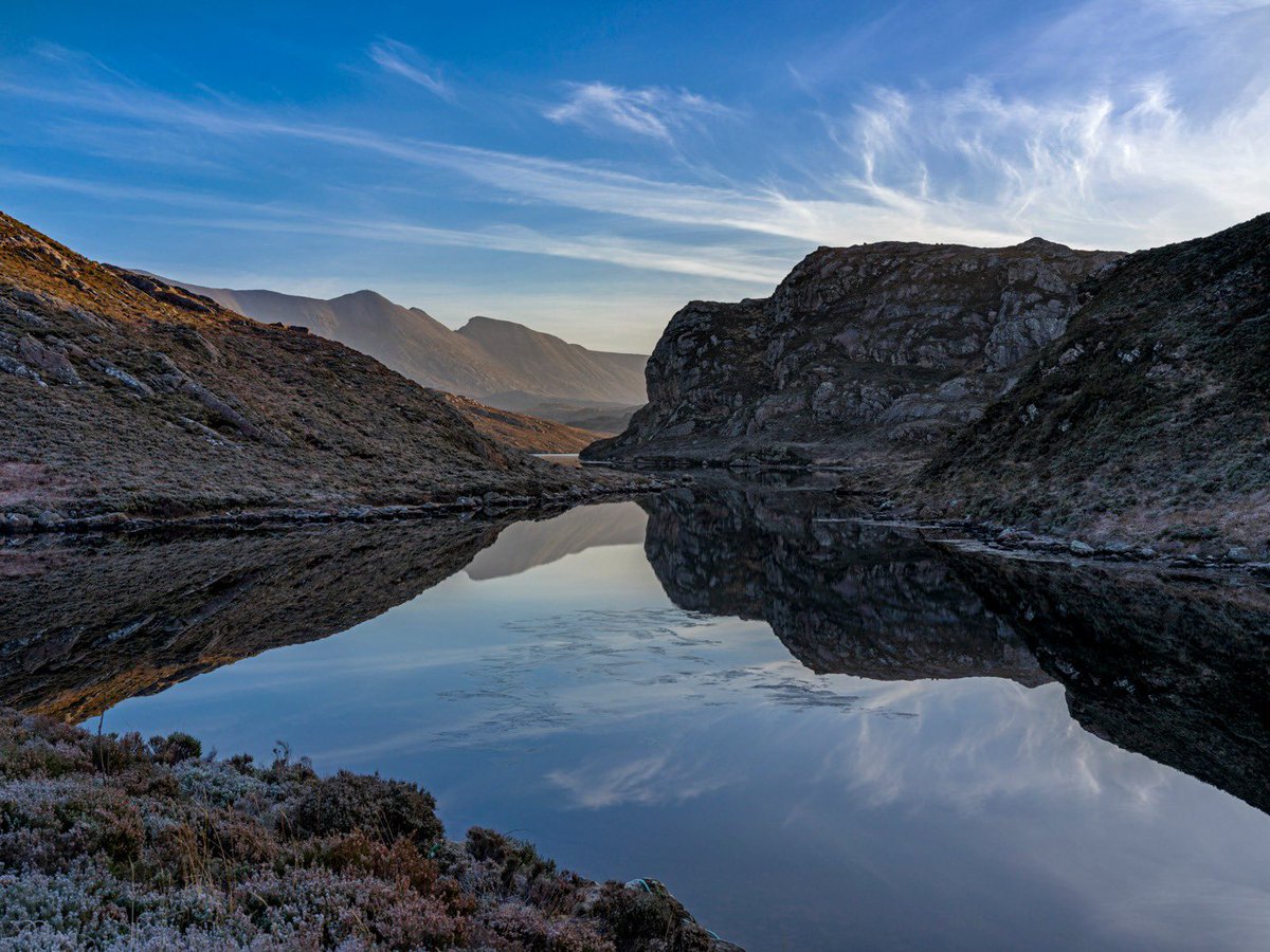 Bobby Gavin tweet media