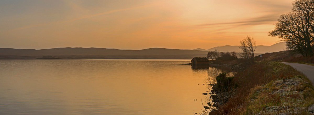 Bobby Gavin tweet media