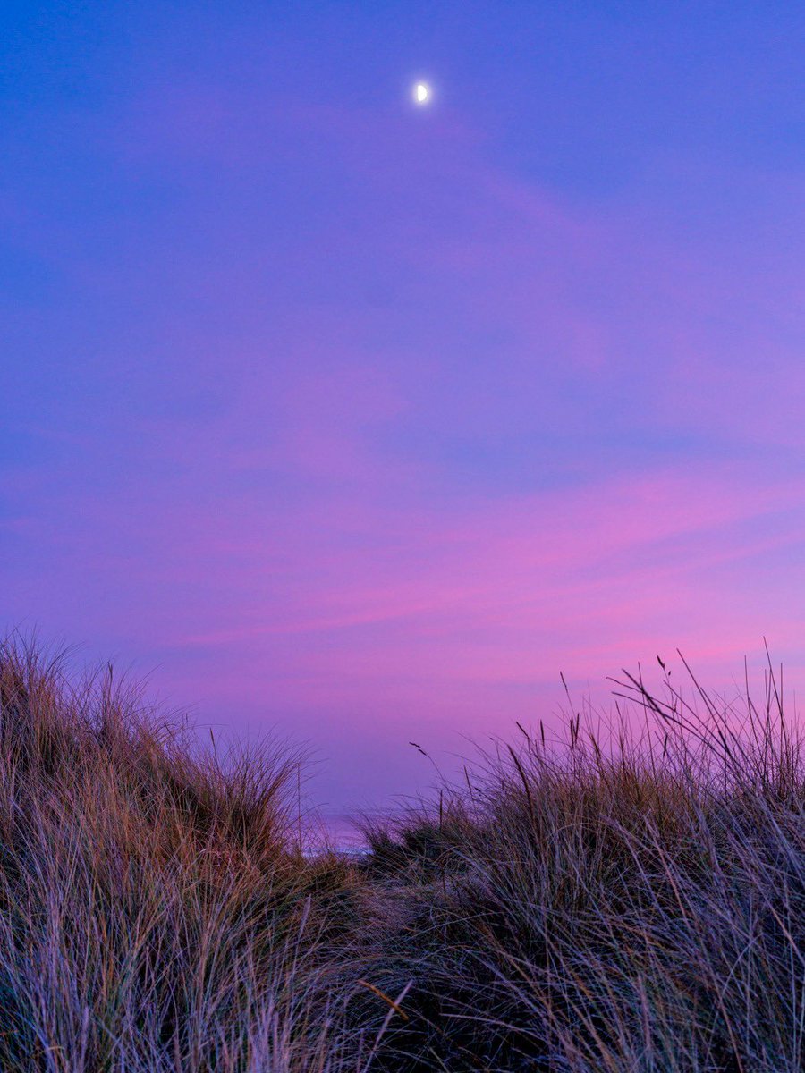 Bobby Gavin tweet media