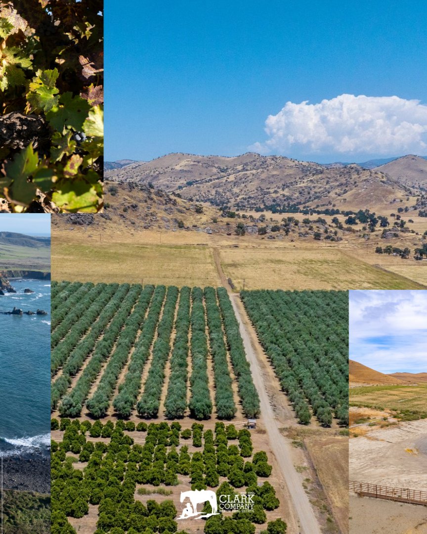 ClarkCompanyRRE's tweet photo. As the year comes to a close, we’re feeling especially grateful for the clients, landowners, and partners who have made 2025 such a meaningful chapter. 

Warm holiday wishes from Clark Company. ✨

#clarkcompany #ranchrealestate #winecountry #ranchlife #warmwishes https://t.co/SswZx9Oeon