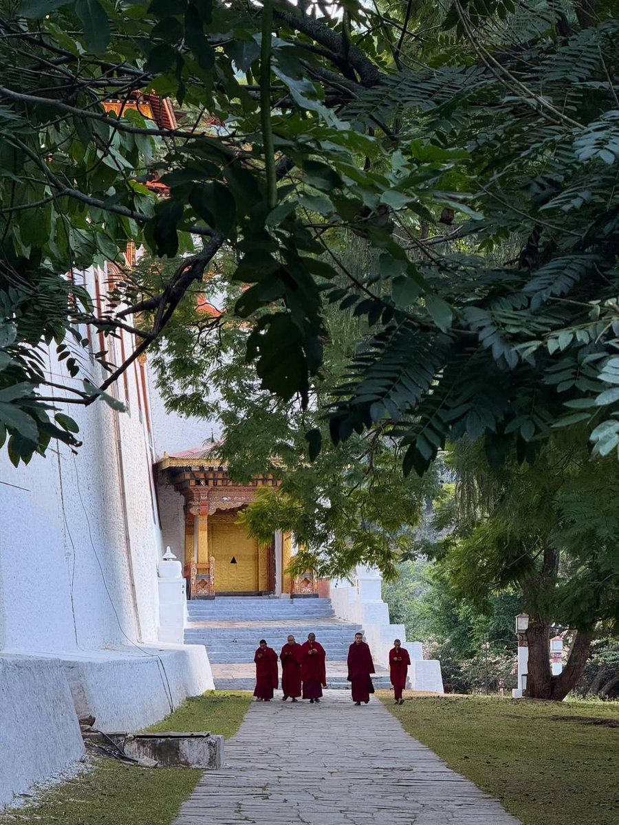 Alex Albon tweet media