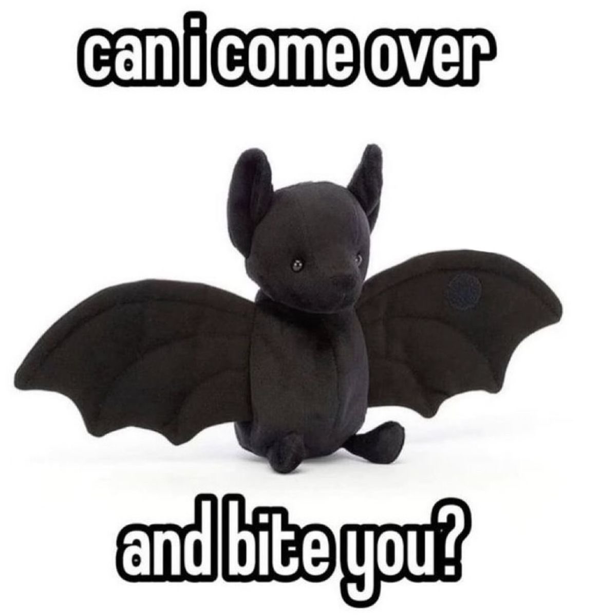 spookyxxboobs's tweet image. pretty please?