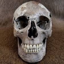 Medieval people bathed regularly. It wasn't till the Renaissance that bathing went out of fashion, and even then it was only the rule for the wealthy. Medieval people had excellent teeth. We know this for a fact because we unearth them from time to time. Their teeth were great