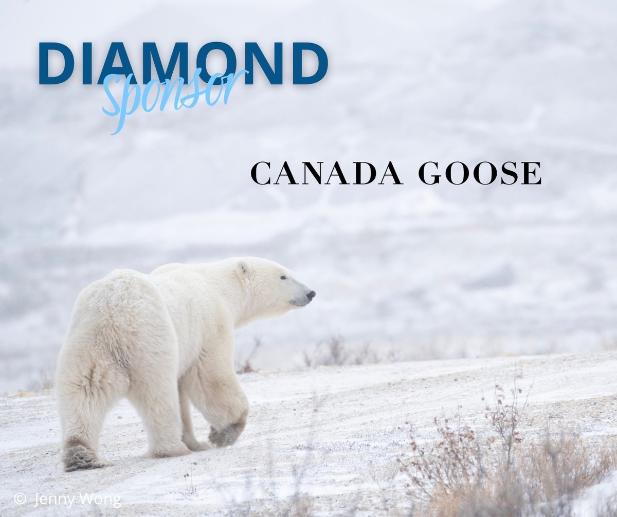 PolarBears's tweet photo. As 2025 comes to a close, we are filled with gratitude for our Diamond Sponsor, @canadagoose — their support makes our work possible. Thank you! https://t.co/vxMQSsS8EU