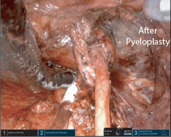 Richard Link tweet media