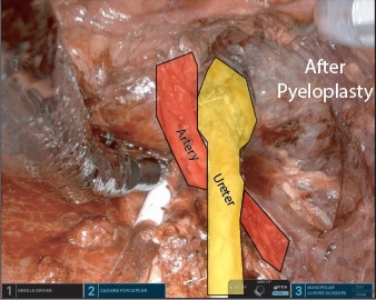 Richard Link tweet media